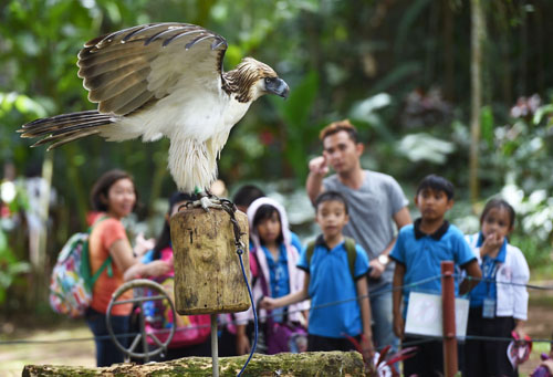 見学に来た生徒らの前で羽を広げるフィリピンワシ=ミンダナオ地方ダバオ市のフィリピンワシ財団センターで2016年2月撮影(AFP=時事)