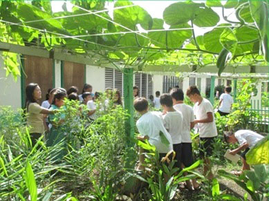 バタンガス州アヤオイヤオ小学校の校内菜園=東南アジア教育大臣機構提供
